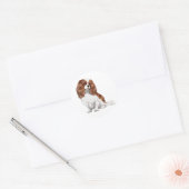Sticker Rond Cavalier King Charles Spaniel (A) - Blenheim 1 (Enveloppe)