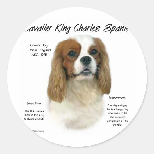 Sticker Rond Cavalier King Charles Spaniel (Blenheim) Histoire (Devant)