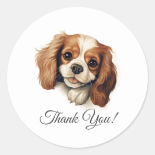 Sticker Rond Cavalier King Charles Spaniel Chien Merci