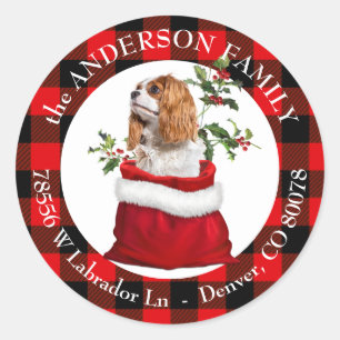 Sticker Rond Cavalier King Charles Spaniel Dog Plaid Frame