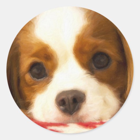 Sticker Rond Cavalier King Charles Spaniel flocon (Devant)
