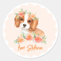 Cavalier King Charles Spaniel Peach Anniversaire