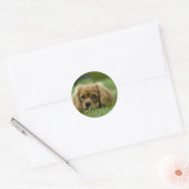 Sticker Rond Cavalier King Charles Spaniel Ruby (Enveloppe)