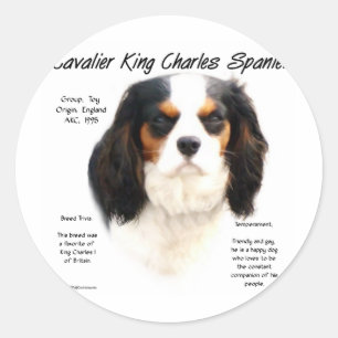 Sticker Rond Cavalier King Charles Spaniel (tricolore) Histoire