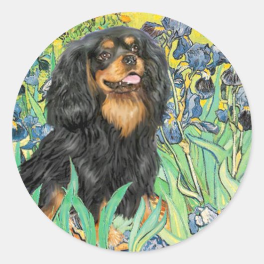 Sticker Rond Cavalier (TC) - Iris (Devant)