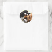 Sticker Rond Cavaliers Brothers (Sac)
