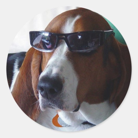 Sticker Rond Ce chien de chien est un kat kool (Devant)