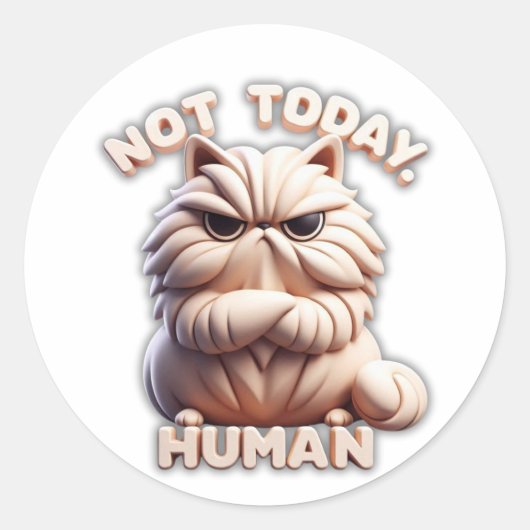 Sticker Rond Ce n'est pas aujourd'hui Stick de chat grumpy huma (Devant)