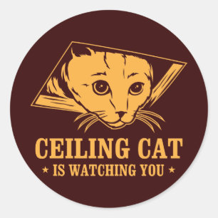 Sticker Rond Ceiling Cat vous regarde