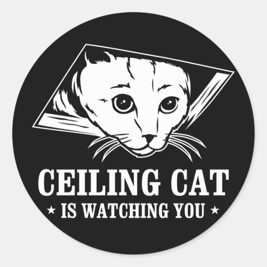 Sticker Rond Ceiling Cat vous regarde (Devant)