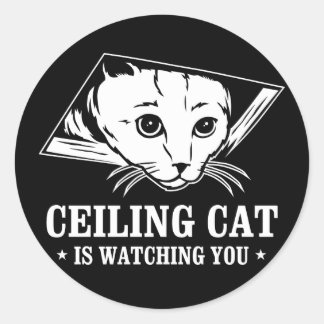 Sticker Rond Ceiling Cat vous regarde