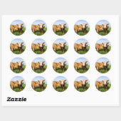 Sticker Rond Ceinture polaire de la jeune vaches Highland (Feuille)