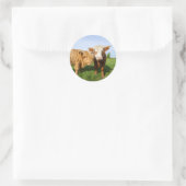 Sticker Rond Ceinture polaire de la jeune vaches Highland (Sac)