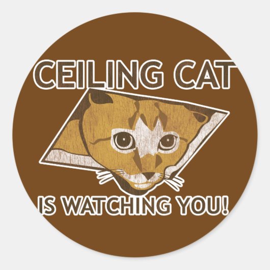 Sticker Rond Celing cat vous regarde ! (Devant)