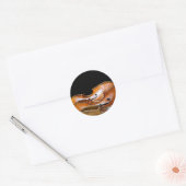 Sticker Rond Cellos (Enveloppe)