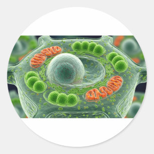 Sticker Rond Cellule Plante vive