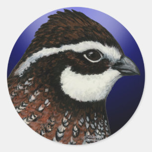Sticker Rond Cercle de tête de colin de Virginie
