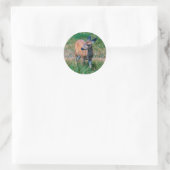 Sticker Rond Cerf - (Sac)