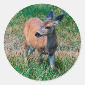 Sticker Rond Cerf - (Devant)