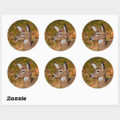 Sticker Rond Cerf (Feuille)