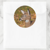 Sticker Rond Cerf (Sac)