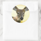 Sticker Rond Cerf à queue blanche Young Buck (Sac)