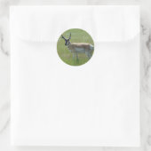 Sticker Rond Cerf antilope A36 (Sac)