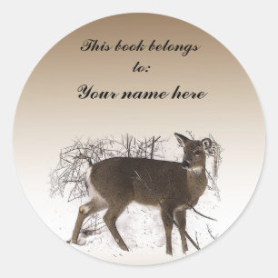 Sticker Rond Cerf dans la plaque de neige