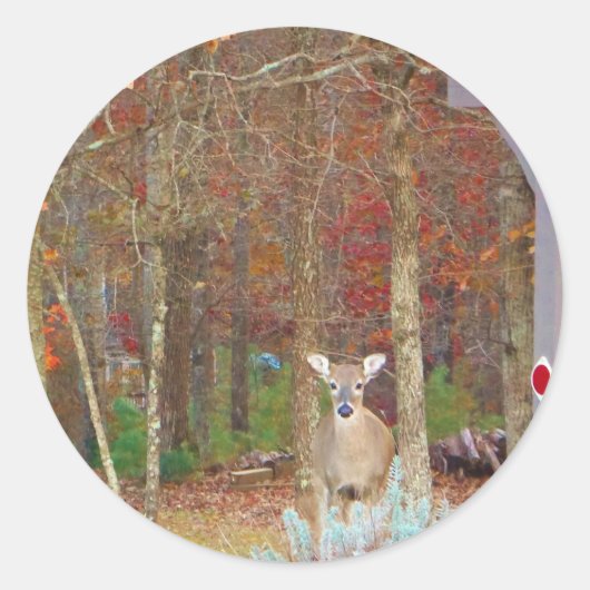 Sticker Rond Cerf de Noël (Devant)