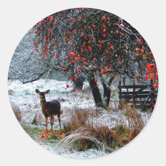 Sticker Rond Cerf en hiver (Devant)