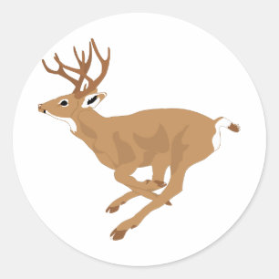 Sticker Rond Cerf mâle à queue blanche (Buck) Courir/Galoping