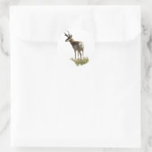 Sticker Rond Cerf pronghorn A43 (Sac)
