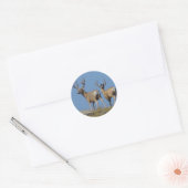 Sticker Rond Cerfs Mulets D9 en velours (Enveloppe)