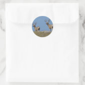 Sticker Rond Cerfs Mulets D9 en Velours (Sac)