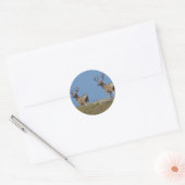 Sticker Rond Cerfs Mulets D9 en Velours (Enveloppe)
