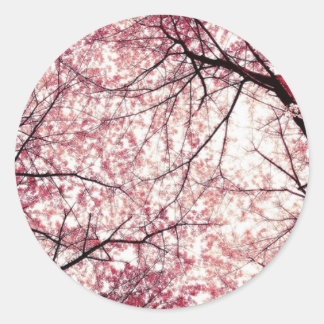 Sticker Rond cerise fleurie 2