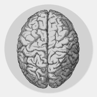 Sticker Rond Cerveau