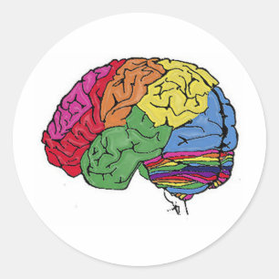 Sticker Rond Cerveau arc en ciel