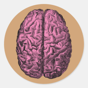 Sticker Rond Cerveau humain d'anatomie