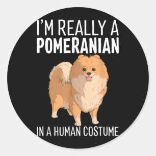 Sticker Rond C'est un costume humain Un chien Pomeranian Hallow