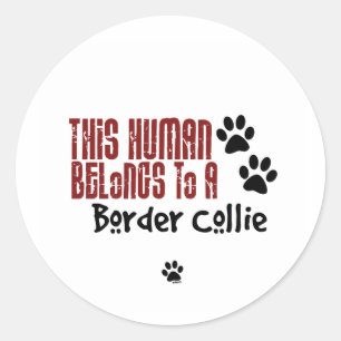 Sticker Rond Cet humain appartient à border collie