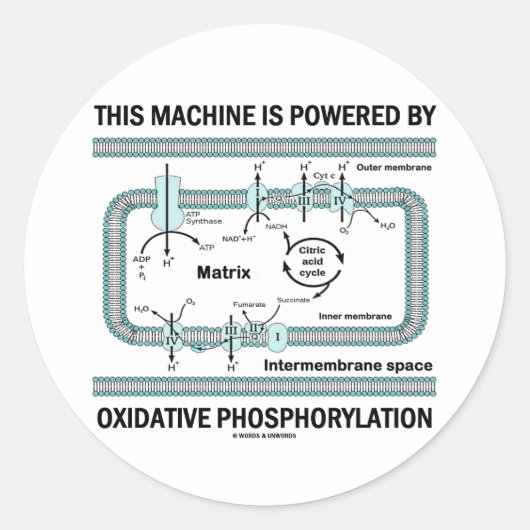 Sticker Rond Cette Machine Alimentée Par La Phosphylation Oxida (Devant)