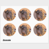 Sticker Rond Chameau drôle (Feuille)