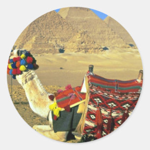 Sticker Rond Chameau et pyramides, le Caire, Egypte