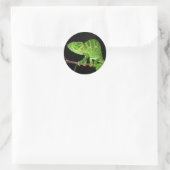 Sticker Rond Chameleon (Chamaeleo zeylanicus) (Sac)