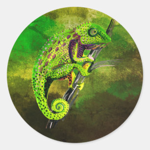 Sticker Rond Chameleons !