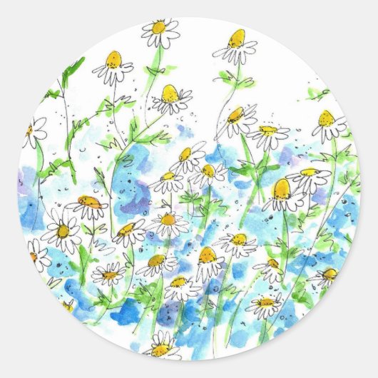 Sticker Rond Chamomile Daisy Garden Herbe Aquarelle (Devant)