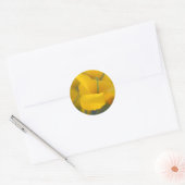 Sticker Rond Champ de pavots en fleurs (Enveloppe)