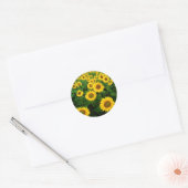 Sticker Rond Champ de tournesols (Enveloppe)