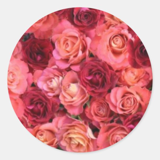 Sticker Rond CHAMP rose, rouge vif rose rouge vif (Devant)